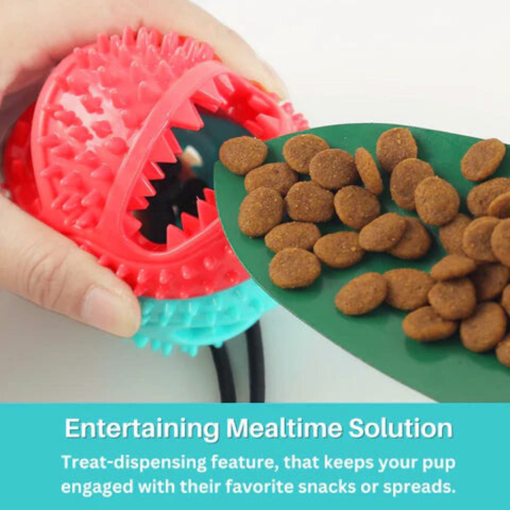 Suction Cup Dog Toy — Chew, Tug & Interactive Play 񟿿