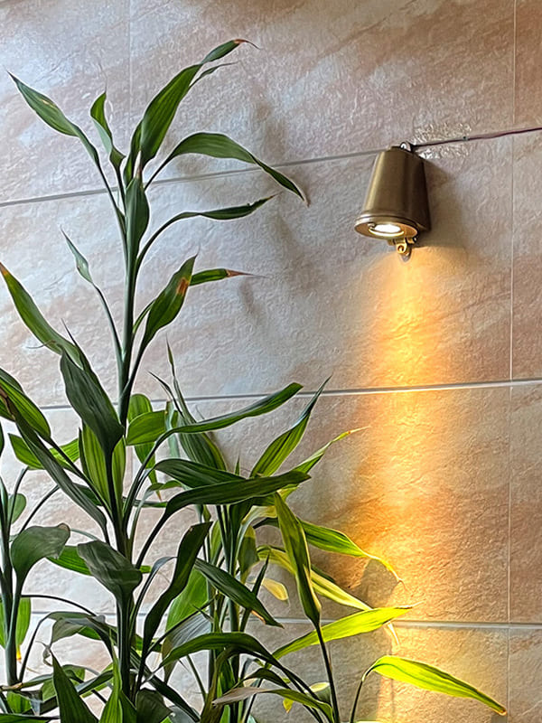 Industrial Outdoor Wall Light – Waterproof Sconce with Bluebell Shape | Esilora
