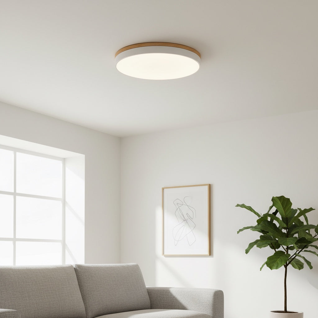 Lumiflexa Sleek Profile Modern Ceiling Lamp - Scandinavian Design for Bedroom and Kitchen | Esilora