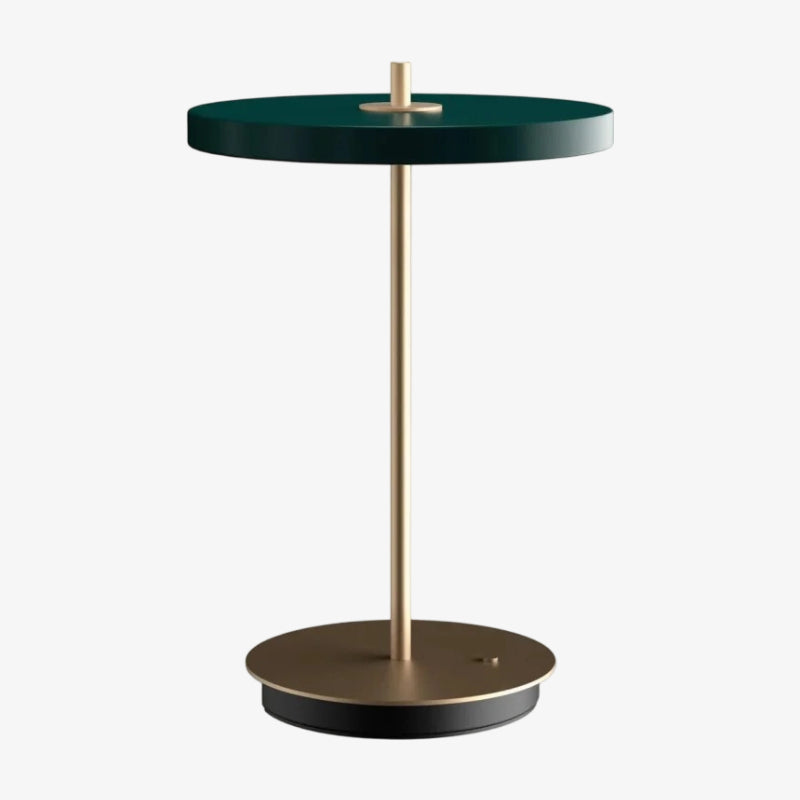 Astris Sculptural Modern Minimalist Metal Table Lamp for Living Room and Office | Esilora