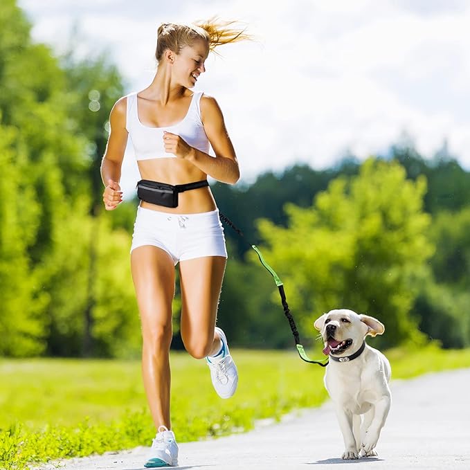 Soft Control Dog Leash for Relaxed Walks Without Jerking - Esilora