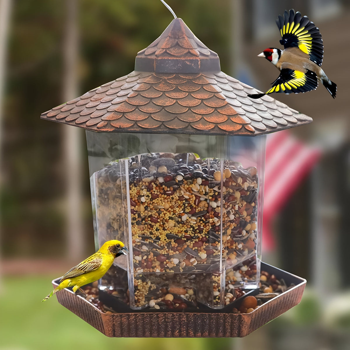 Copper-Look Hanging Bird Feeder — Weatherproof Shell, Clear Sightlines