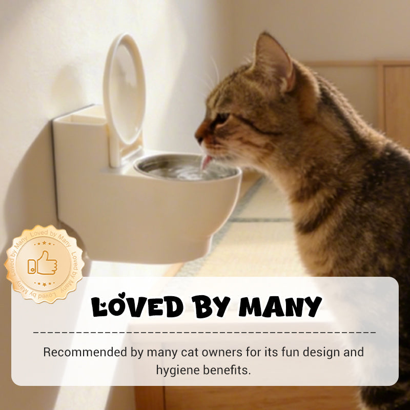 Stylish Cat Food Holder – Transform Mealtime into an Elegant Highlight - Esilora