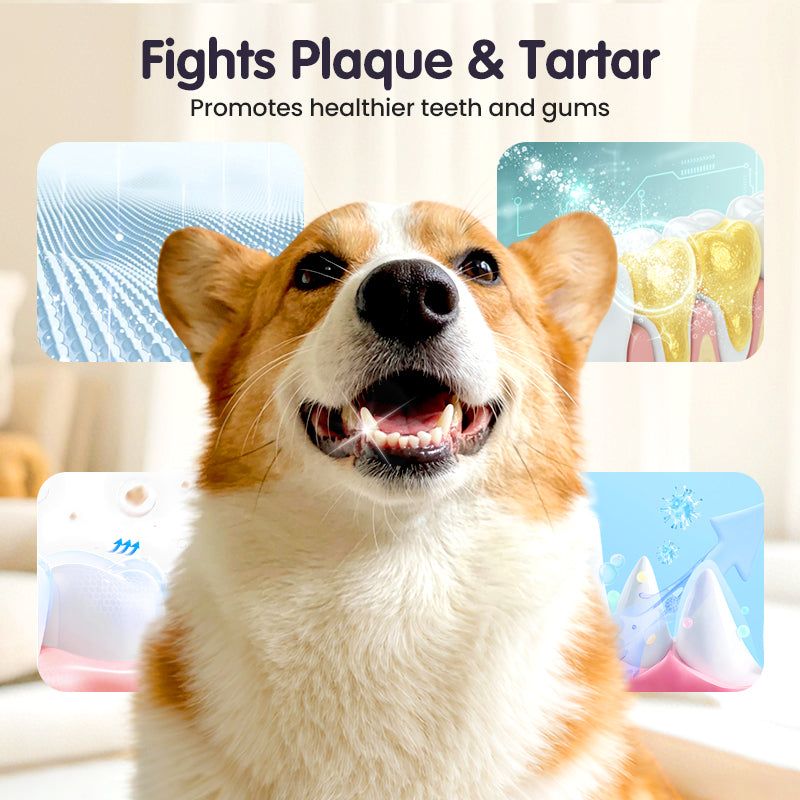 PurePaw — Sparkling Fresh Breath and Effortless Smiles for Your Beloved Pet - Esilora