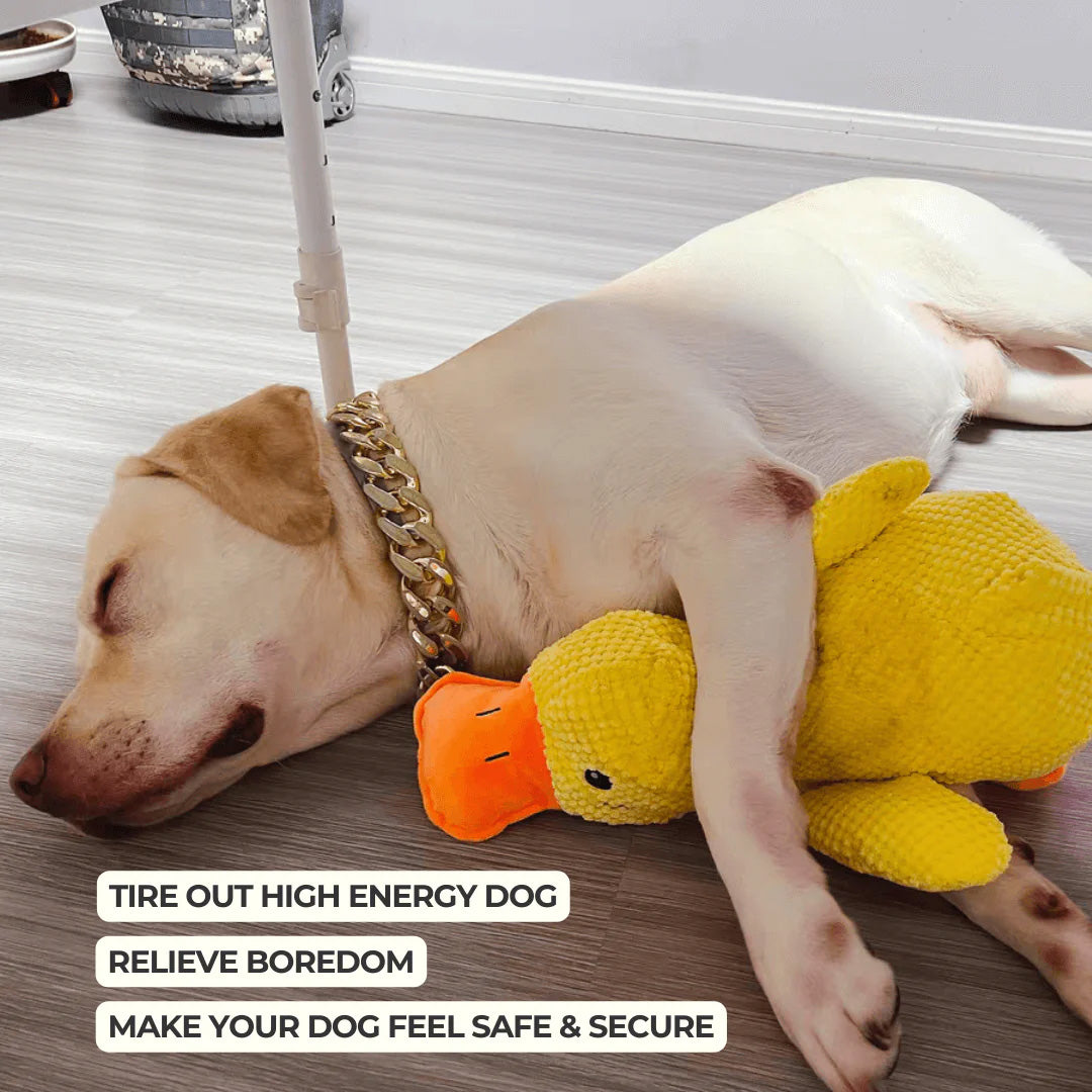 Soft Calming Dog Toy for Comfort and Mental Stimulation - Esilora