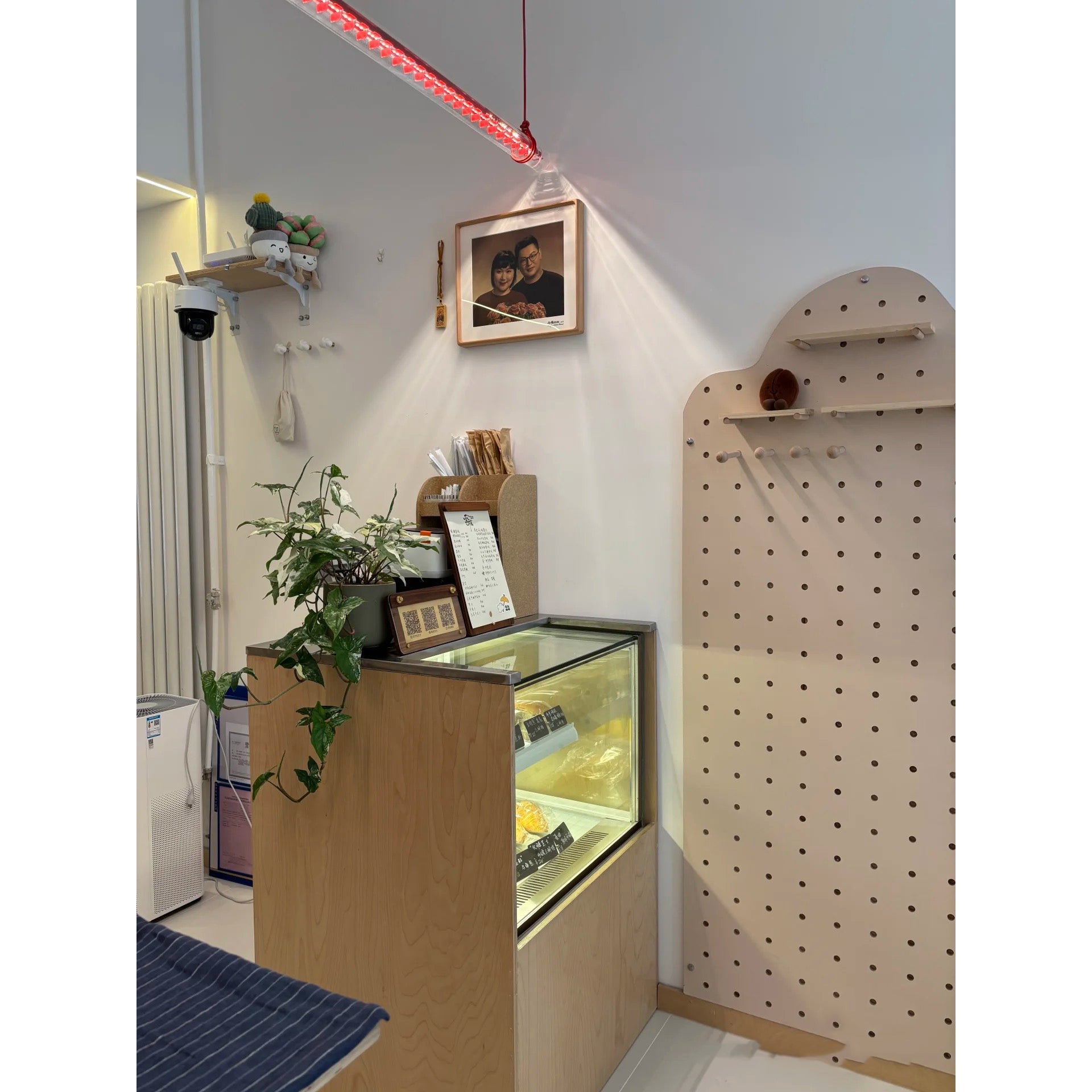 Tubular Linear LED Pendant Lamp | Esilora