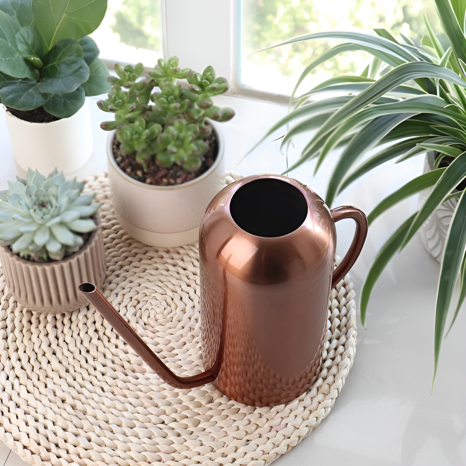 Precise Watering Tool for Healthy Plants – Breathable Growth Solution - Esilora