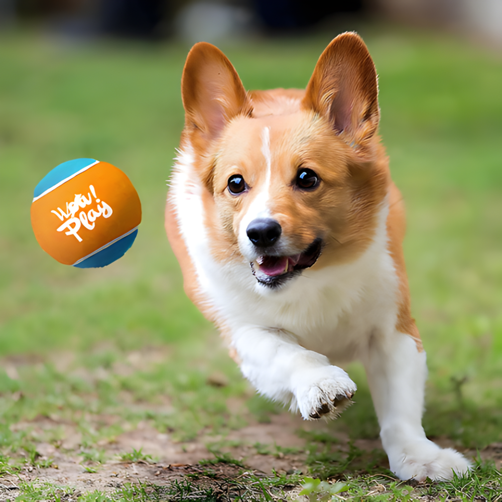 قاذف كرات تنس بعيد المدى AeroFetch — تشغيل بيد واحدة