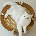 AeroNest Breathable Elevated Cat Hanging Bed — Round Lounger