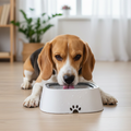 AquaGuard sølefri vannskål for hund — flytende plate for langsom drikking