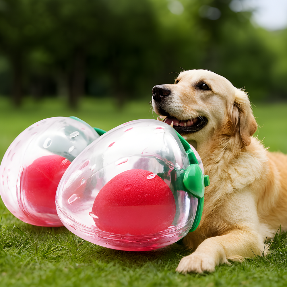 Jouet pour chien en caoutchouc BerryPop en forme de fruit avec couineur — Conception roulante