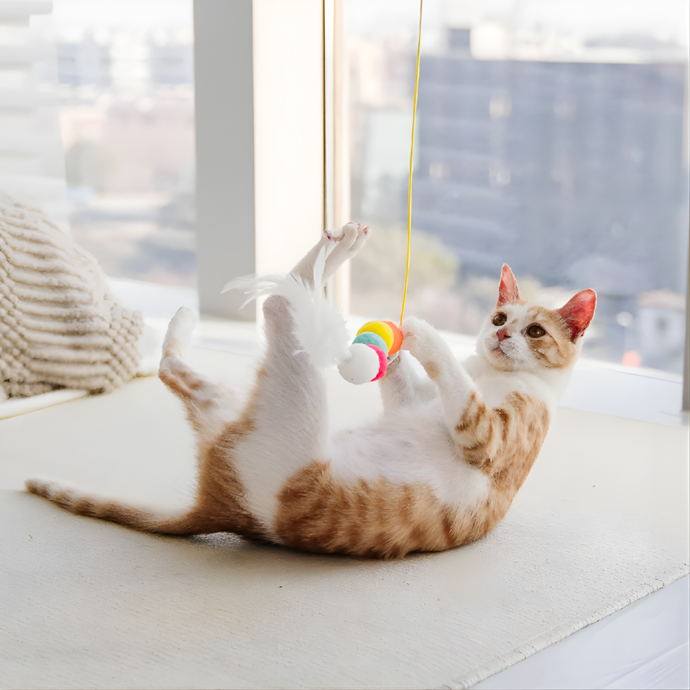 BounceCharm hængende bungee-legetøjssæt til katte — elastisk tilbagespring