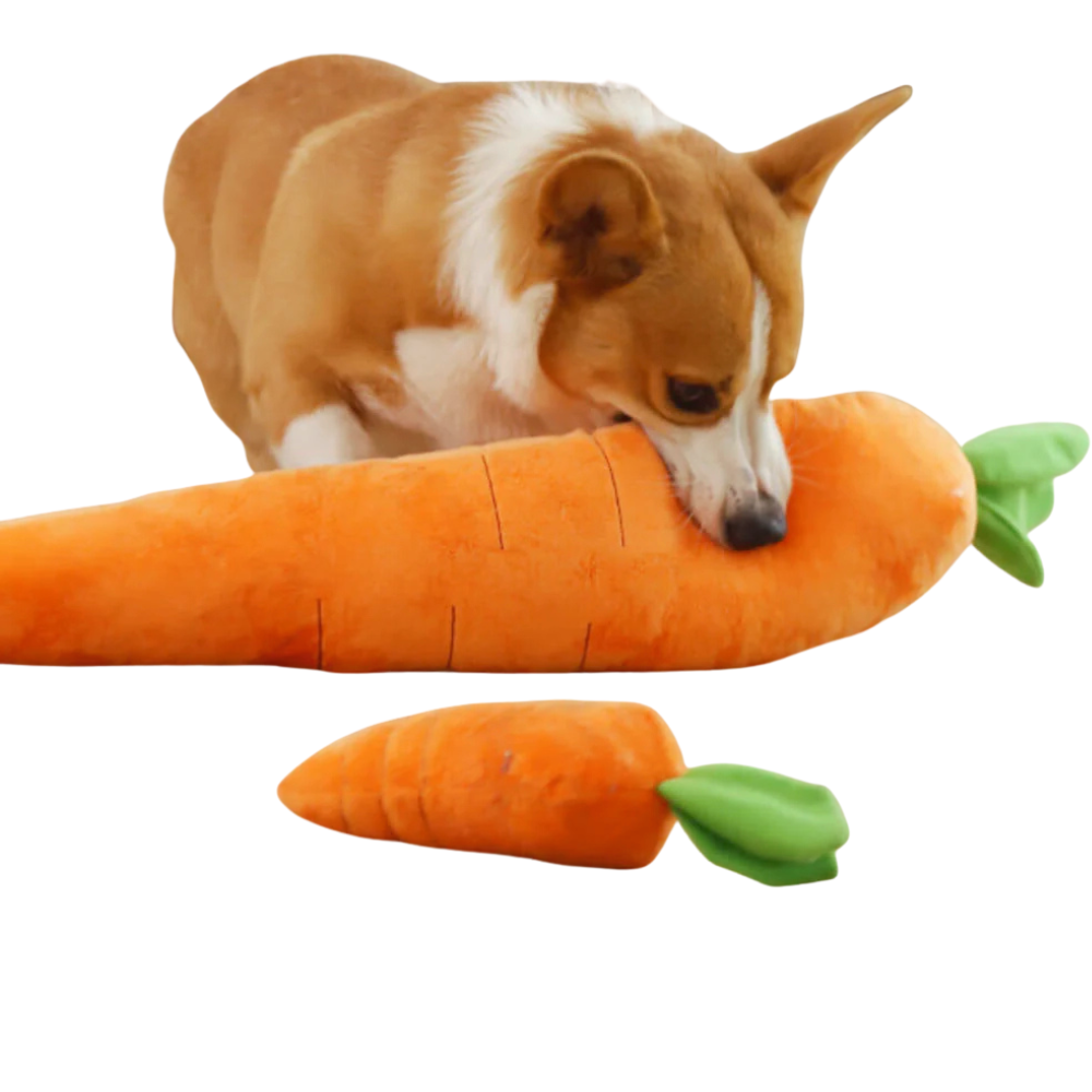 CarroPlay Plush Dog Toy — Soft Squeaker Interactive Play