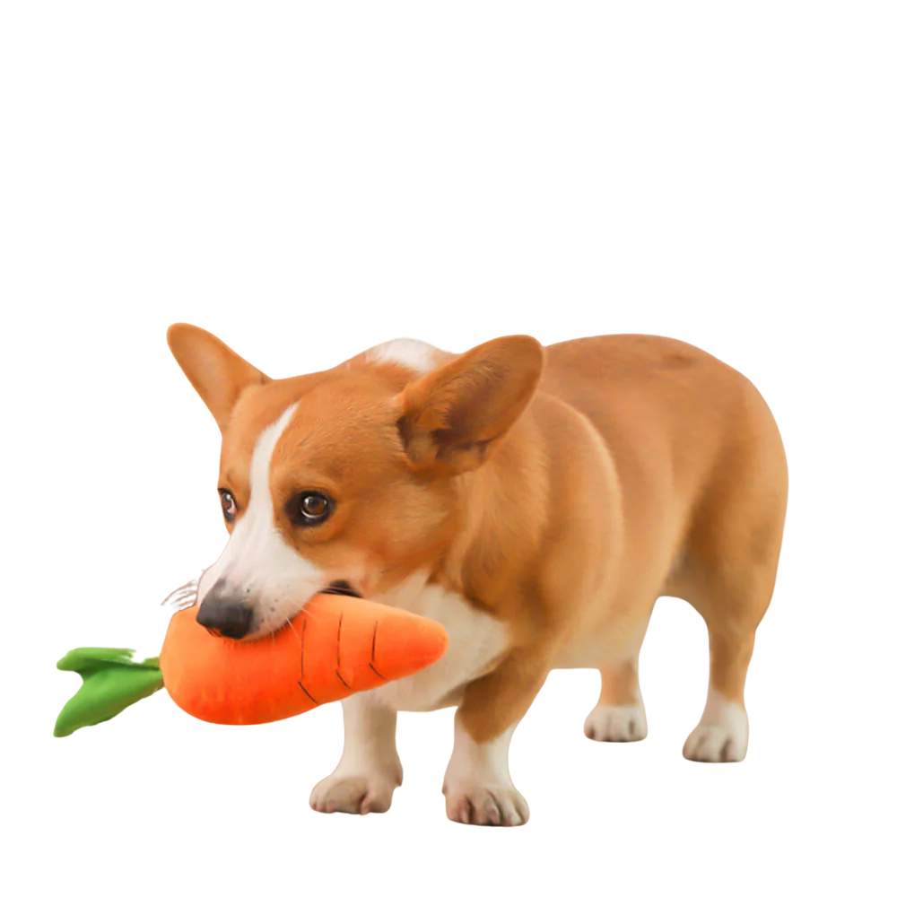 CarroPlay Plush Dog Toy — Soft Squeaker Interactive Play
