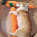 CarroPlay Plush Dog Toy — Soft Squeaker Interactive Play