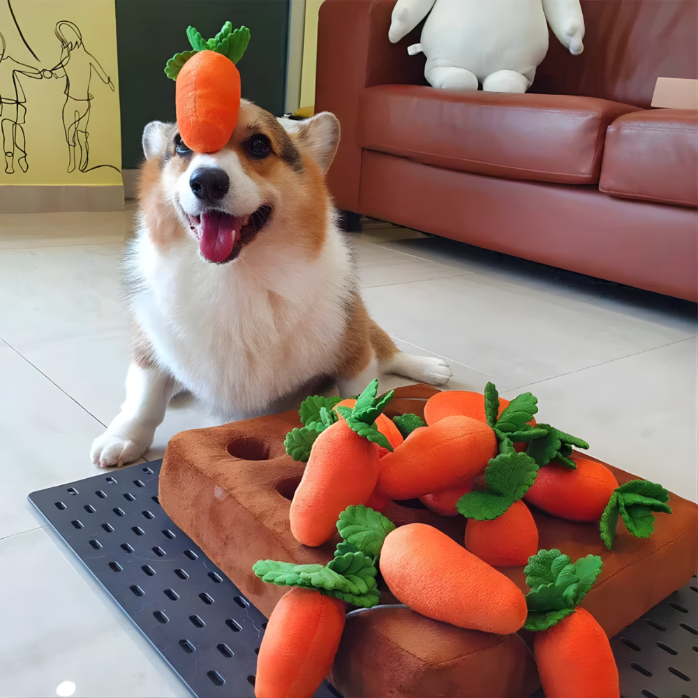 CarrotGarden Interactive Dog Snuffle Toy — Treat-Hiding Pockets