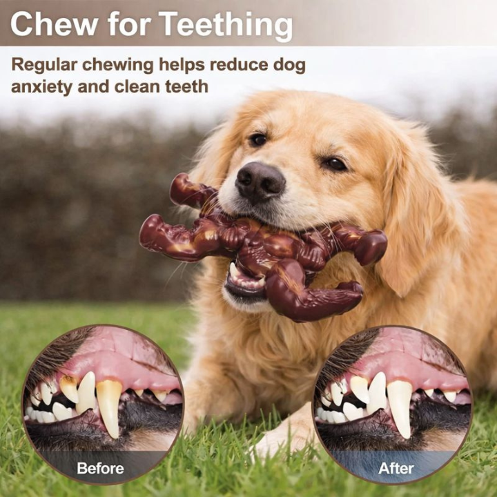 ChewRex slitesterkt hundeleketøy — teksturert interaktivt tyggeleketøy