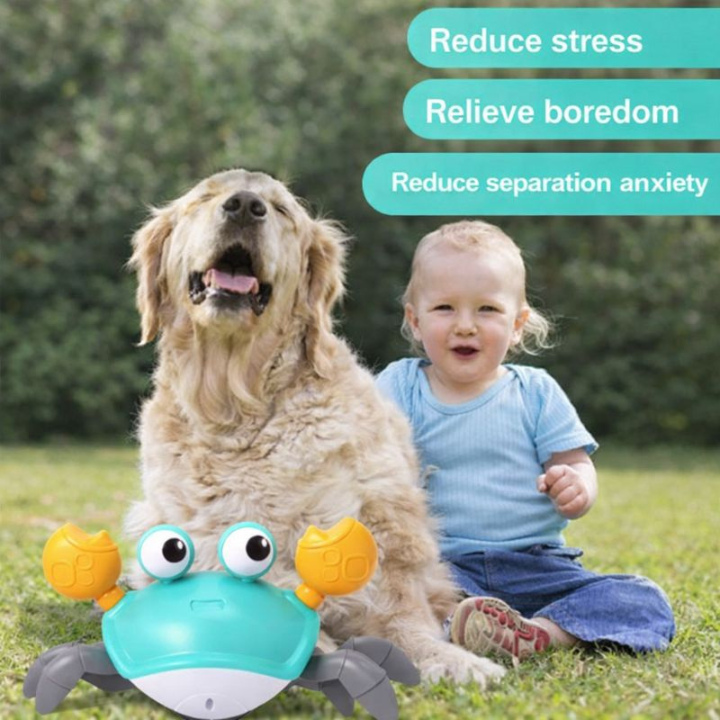 CrabMotion Automatic Crawling Dog Toy — Lights & Sound