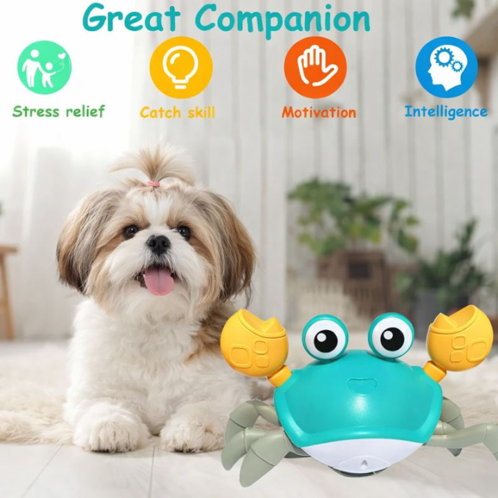 CrabMotion Automatic Crawling Dog Toy — Lights & Sound