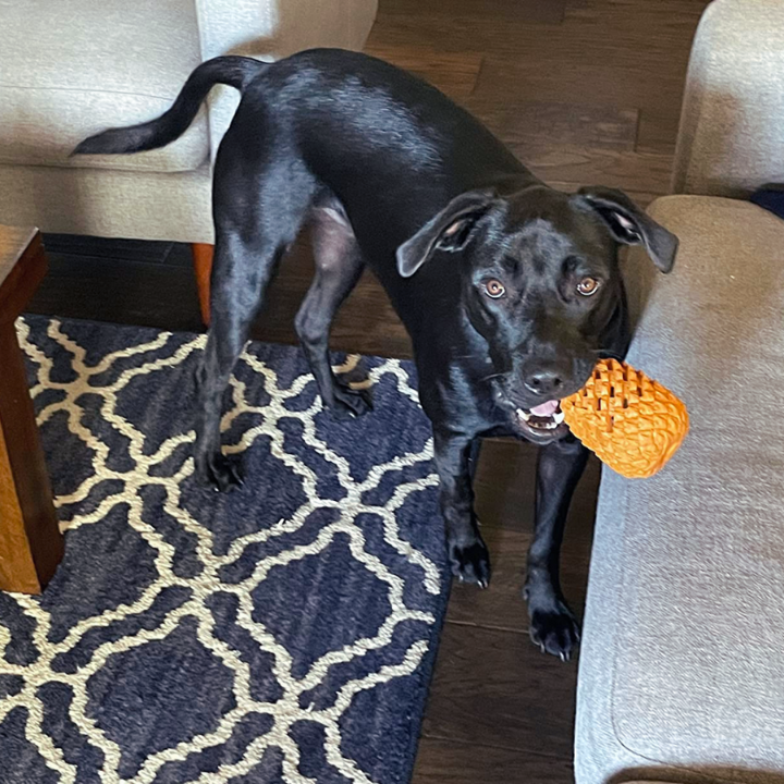 ChewCore ananasformet tyggelegetøj til hunde — Tandrensende design med godbidsdispenser
