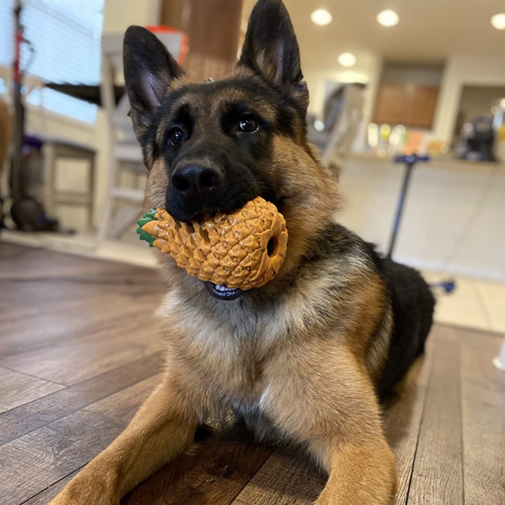 ChewCore ananasformet tyggelegetøj til hunde — Tandrensende design med godbidsdispenser