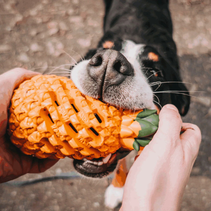 ChewCore ananasformet tyggelegetøj til hunde — Tandrensende design med godbidsdispenser