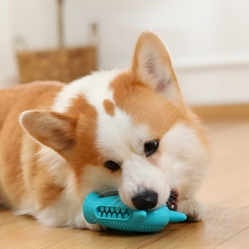 Juguetes mordedores duraderos con forma de monstruo para perros ChewTitan, paquete de 2