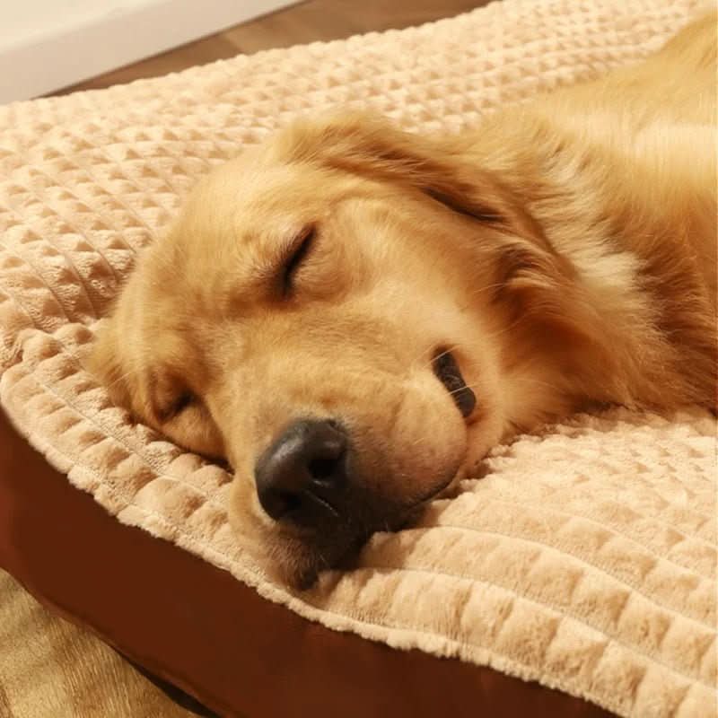CloudNest Orthopedic Dog Bed With Optimal Support For Every Breed