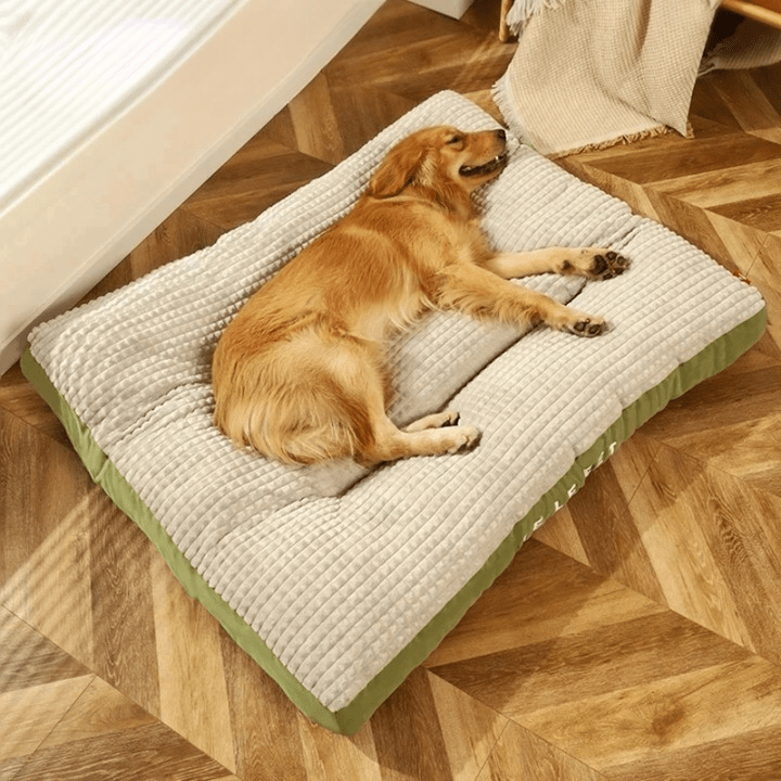 CloudNest Orthopedic Dog Bed With Optimal Support For Every Breed