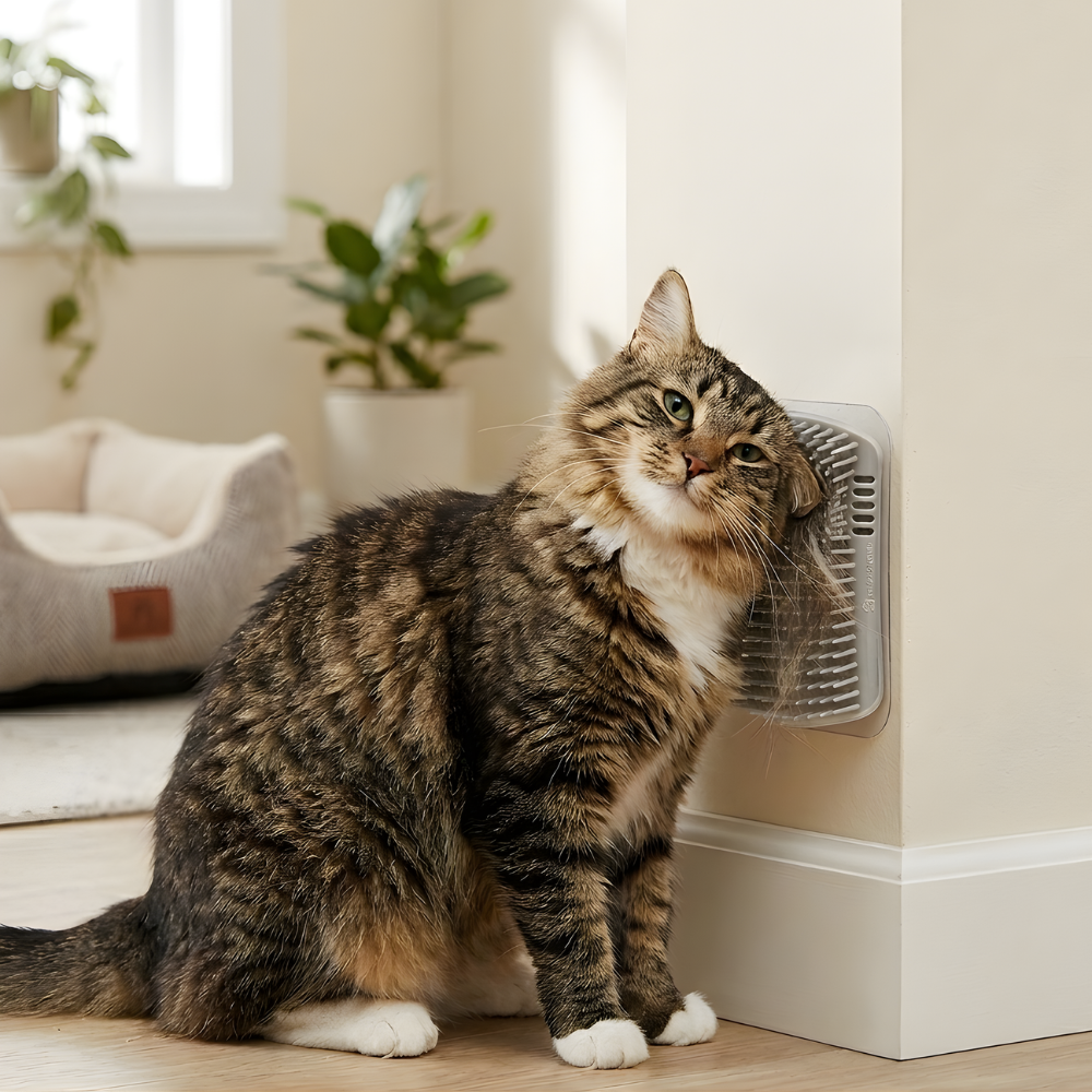 CornerGlow Wall-Mounted Cat Self-Grooming Brushes, 2-Pack
