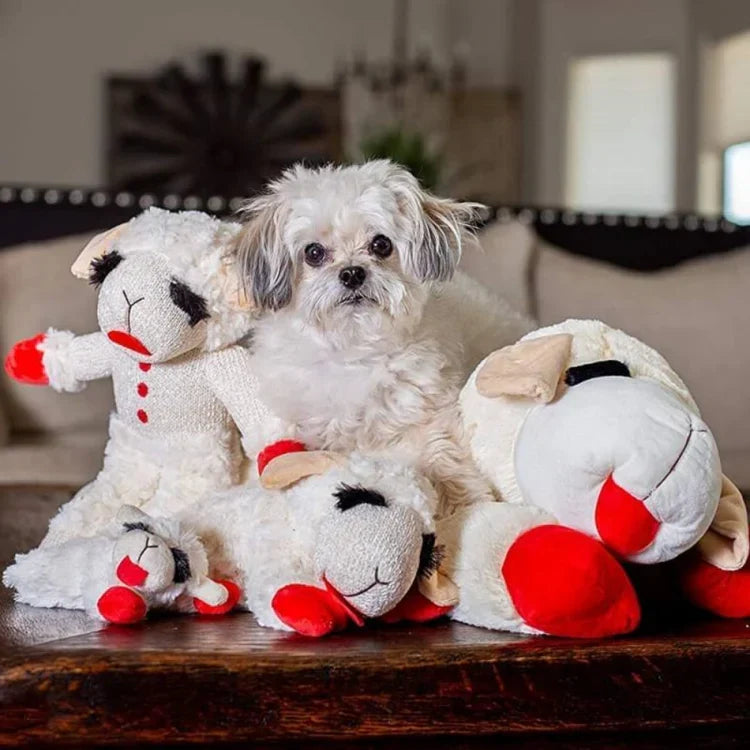 CuddleLamb Plush Lamb Dog Toy with Built-In Squeaker