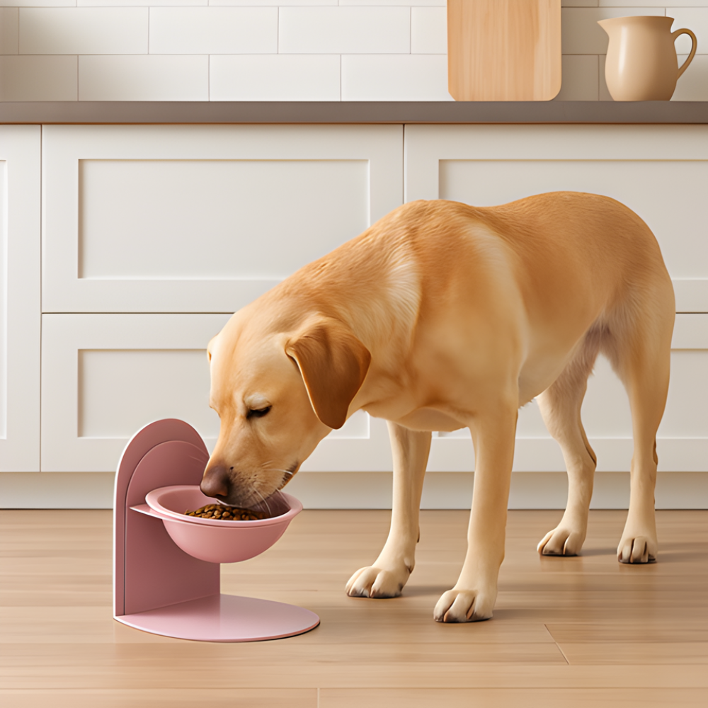 ElevoraBowl Raised Ceramic Dog Feeder — Stable Wide Bowl