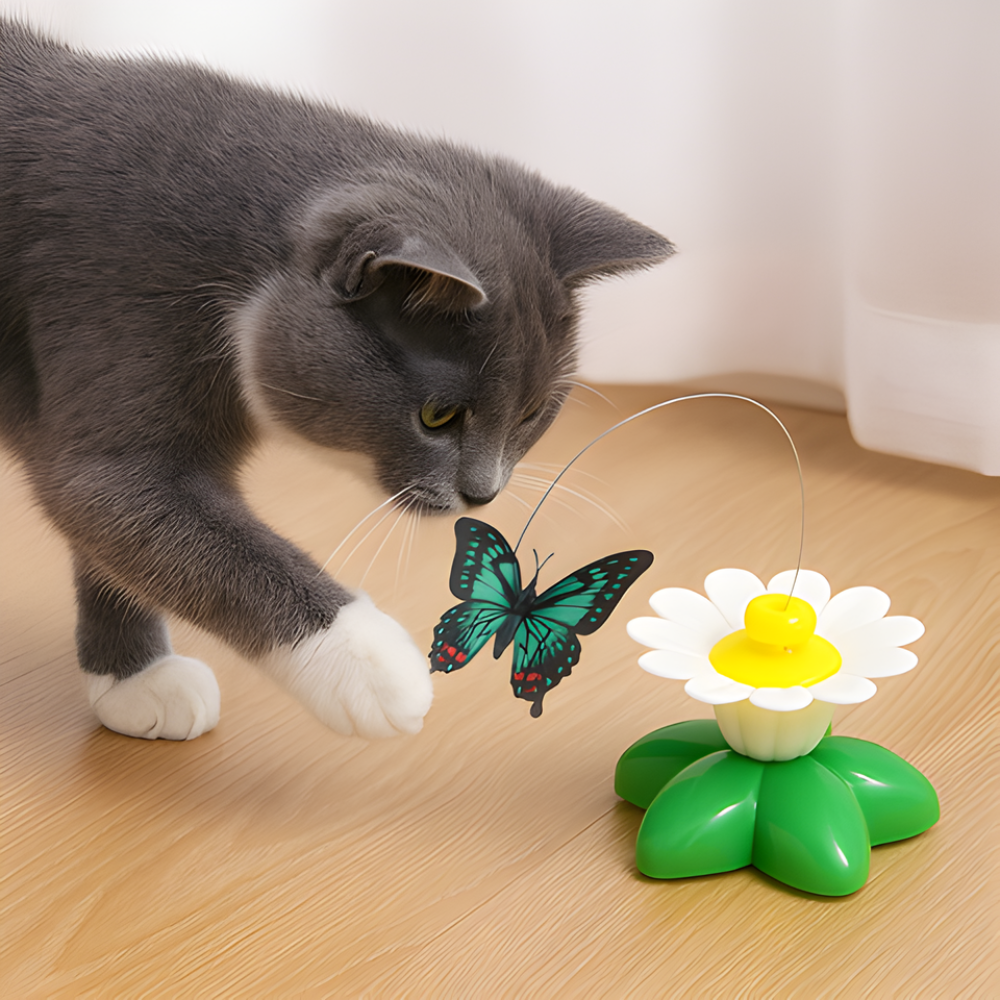 FlutterBloom 360°回転蝶々猫用おもちゃ - 追いかけ遊びを楽しめるインタラクティブ玩具