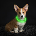 GlowPaw LED発光犬用首輪 - 明るく多方向から視認可能