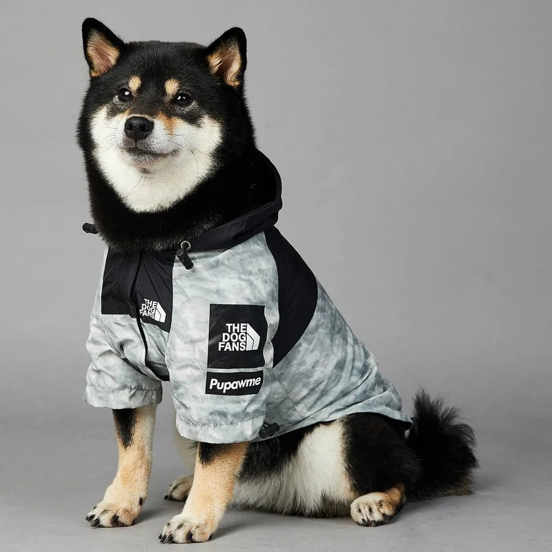 Protective Pet Jacket for Windy Outdoor Adventures