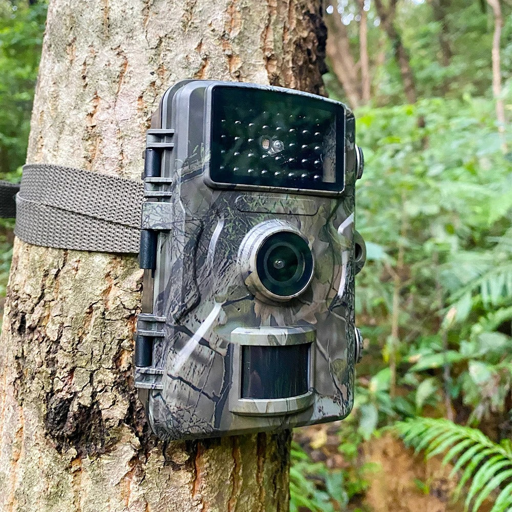 Stealthy Night Vision Game Camera Featuring Motion Detection - Esilora