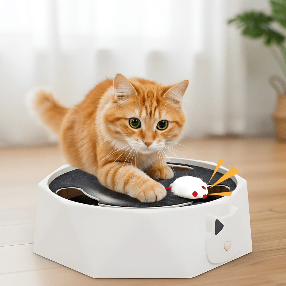 HuntNest インタラクティブ猫用おもちゃ - 動くパッドでネズミを追いかけるゲーム
