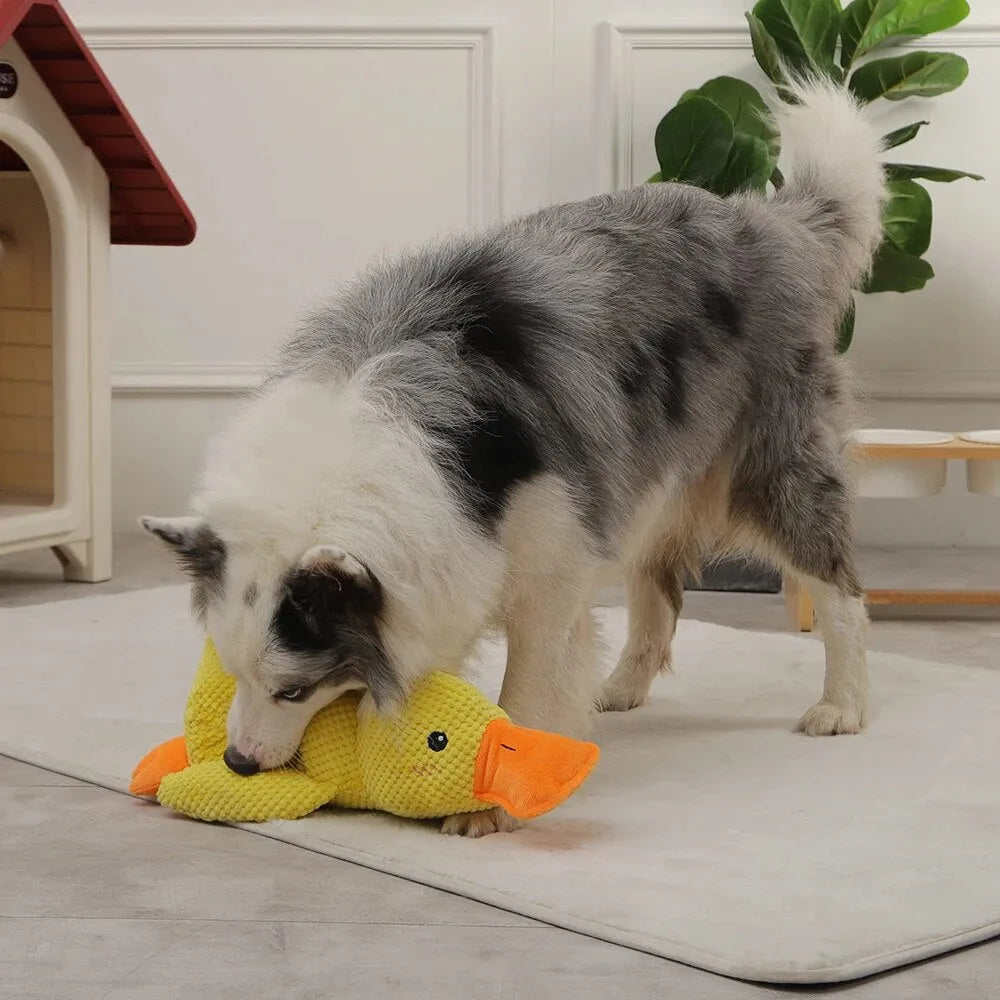 Soft Calming Dog Toy for Comfort and Mental Stimulation - Esilora