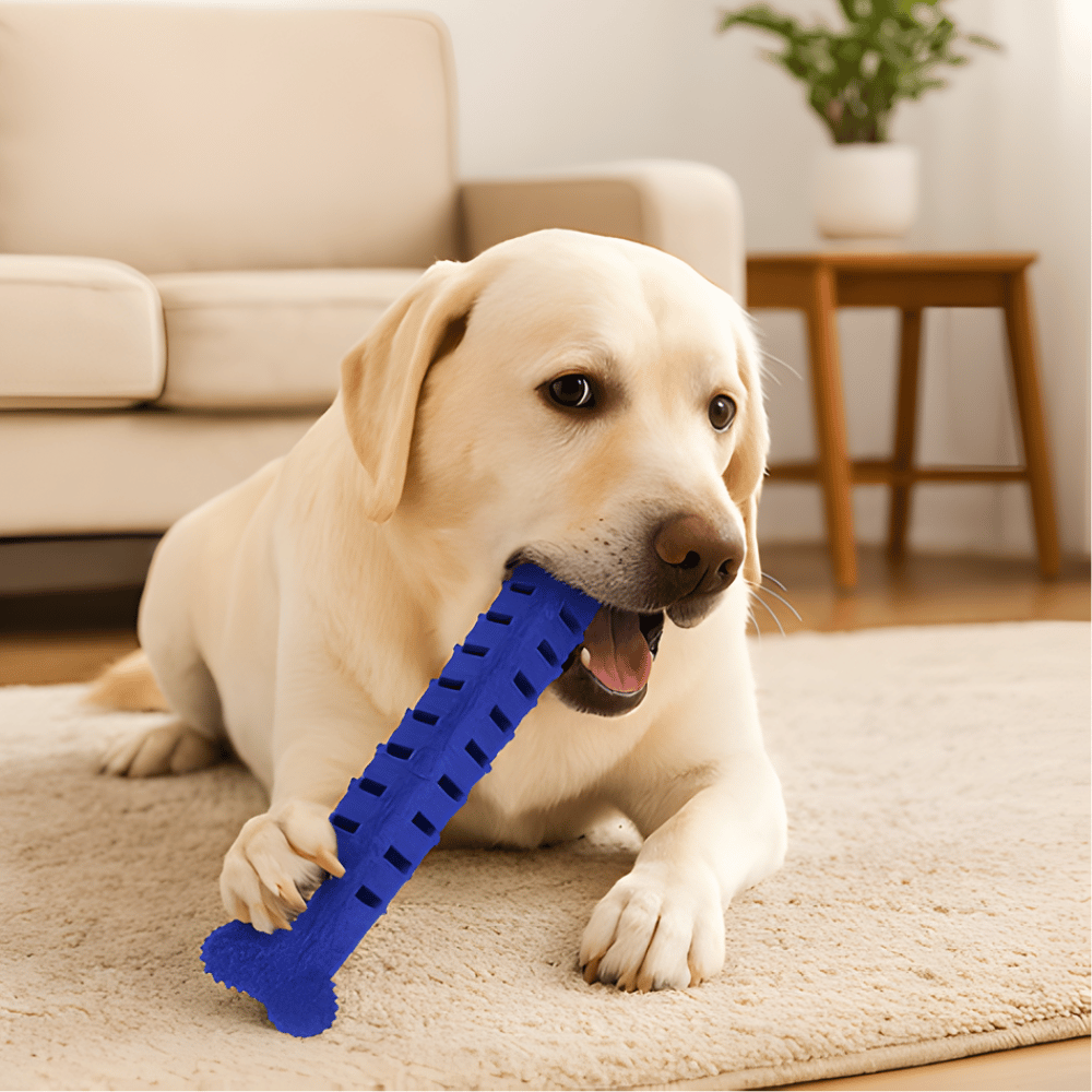 JawRidge 凹凸付き犬用デンタル噛むおもちゃ - ぎざぎざ形状で歯ぐきをクリーニング