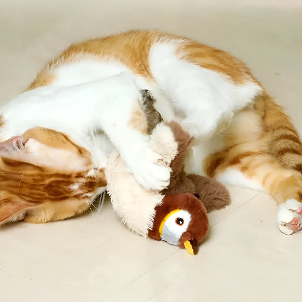 Interactive Pet Bird Toy – Plush Body, Attached Feathers, Embedded Catnip