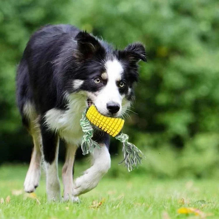 SqueakyCorn Irregular Corn-Shaped Squeaky Dog Chew Toy