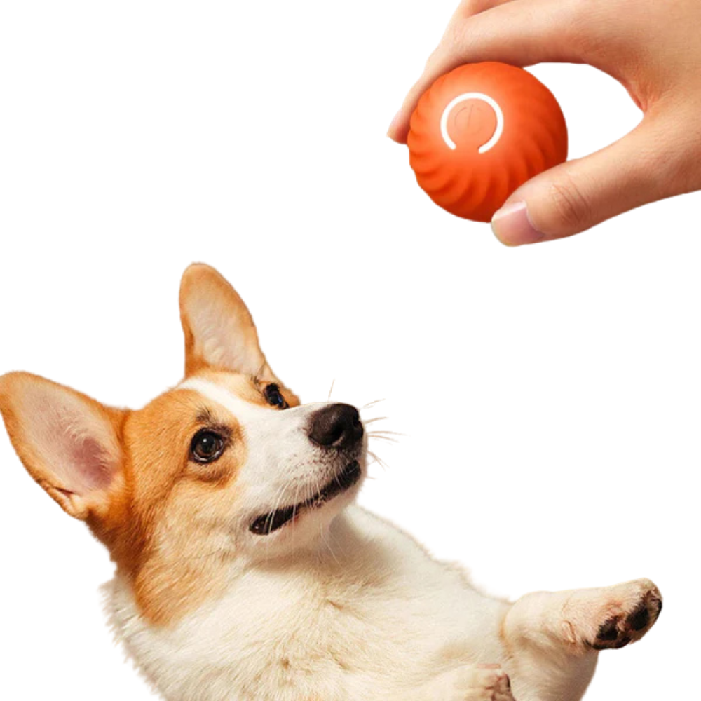 Minge inteligentă rulantă MotionPaws pentru câini — Joacă interactivă automată