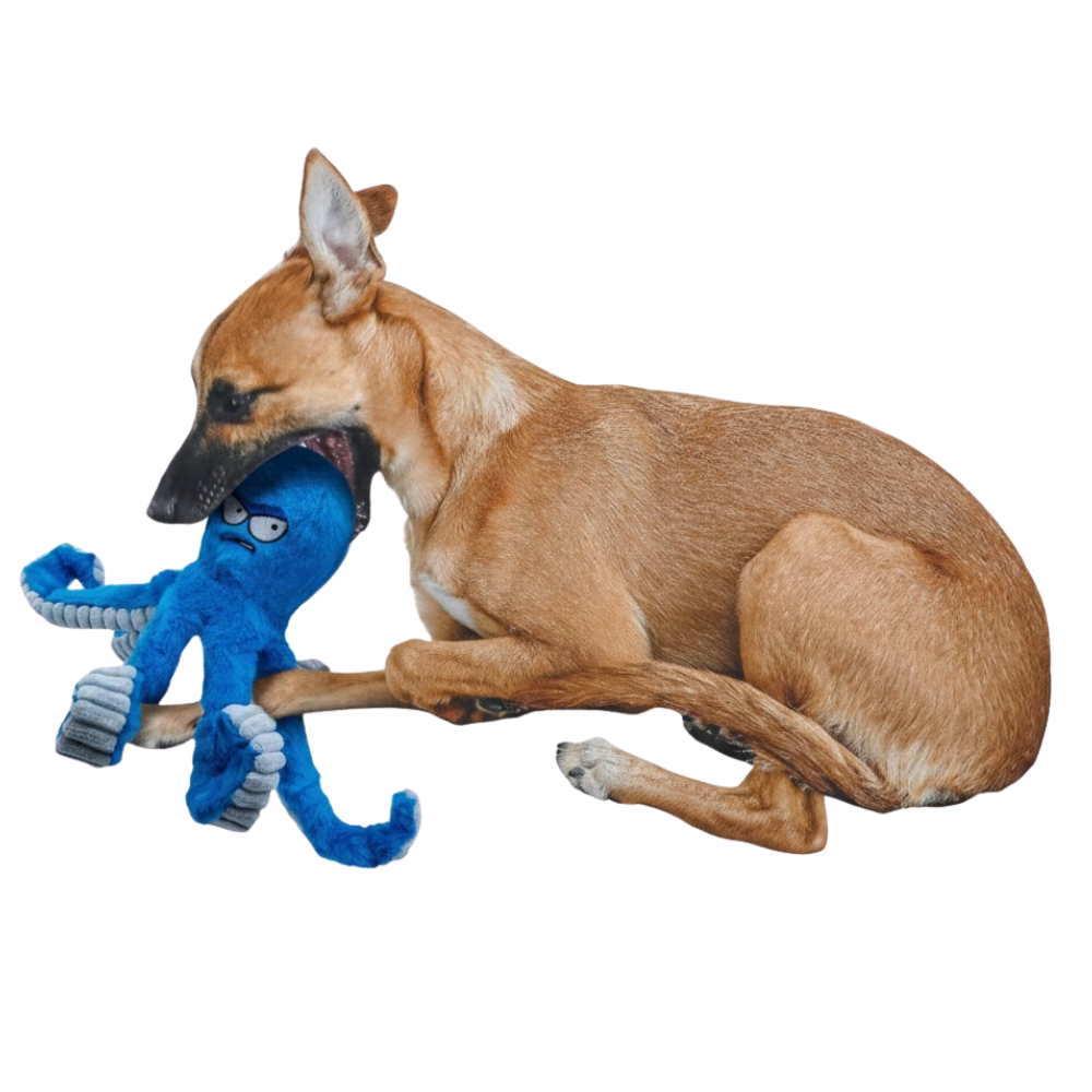 TuffaPus Plush Dog Chew Toy — Octopus Squeaker, Crinkly Arms