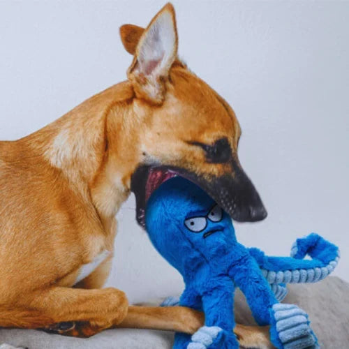TuffaPus Plush Dog Chew Toy — Octopus Squeaker, Crinkly Arms