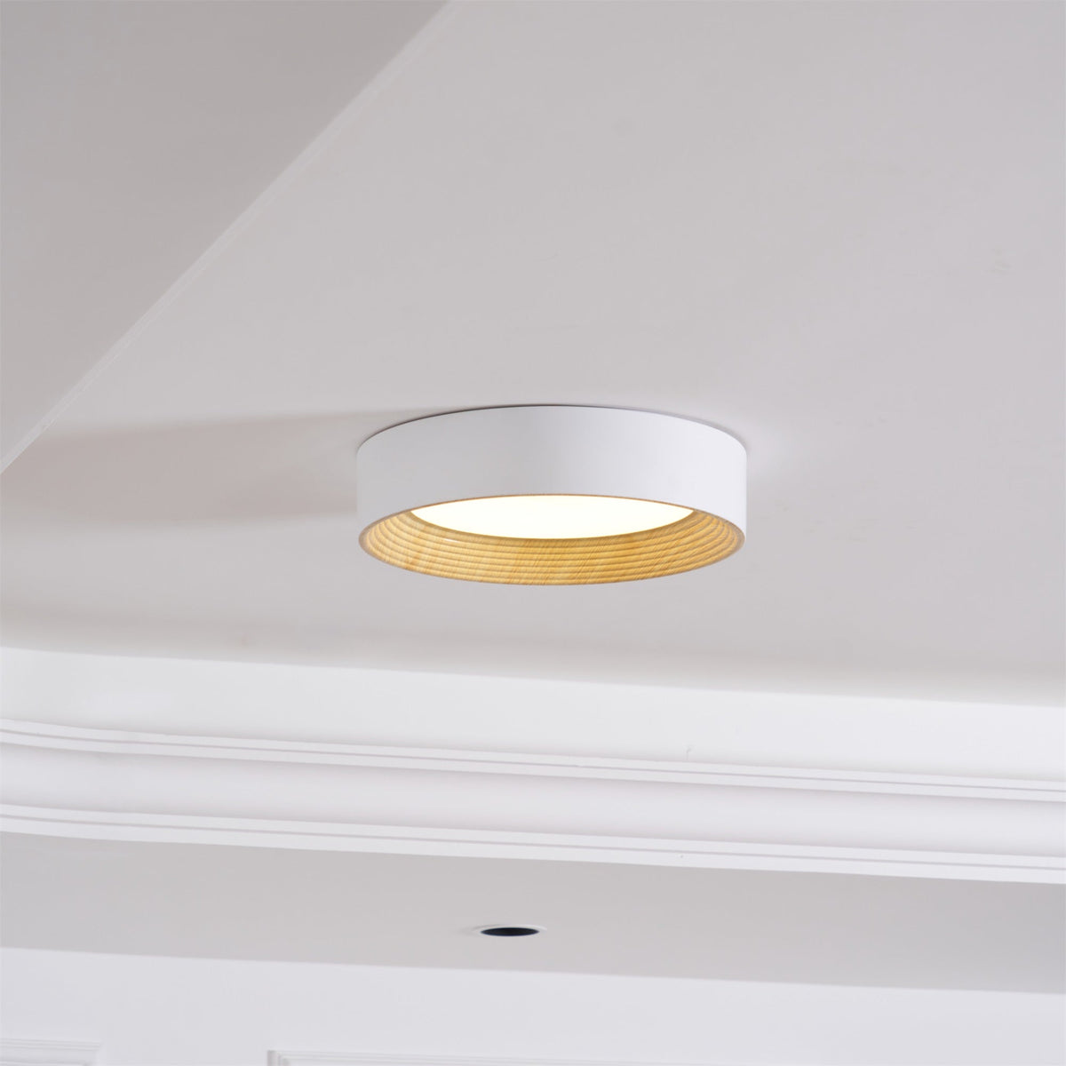 Oreen Ceiling Lamp — Round Profile, Adjustable Color Temperatures, White Oak & Black Walnut