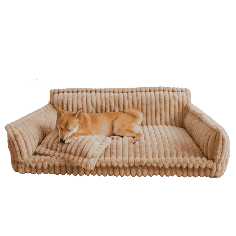 PawCloud ふわふわ犬用ソファベッド - 毛足の長いクッション、体を支える詰め物