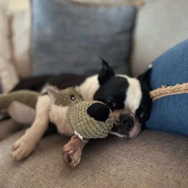 IndestructiPup 丈夫な犬用音が鳴るおもちゃ - 頑丈な織り生地の外装