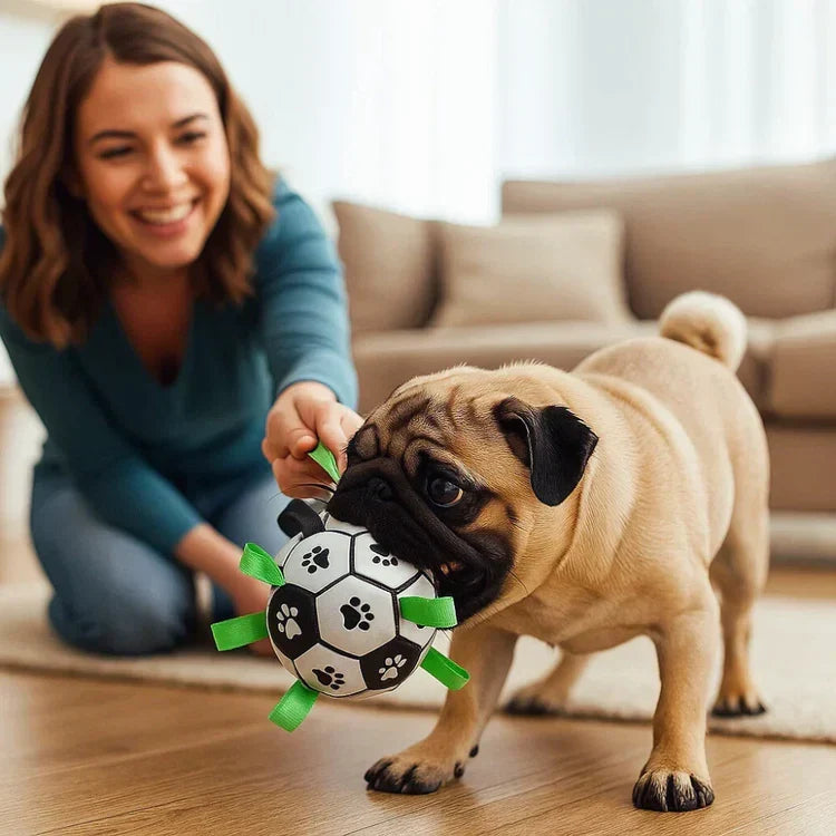PawGrip テクスチャードラバー製犬用おもちゃボール - 引っ張り遊び用ハンドル