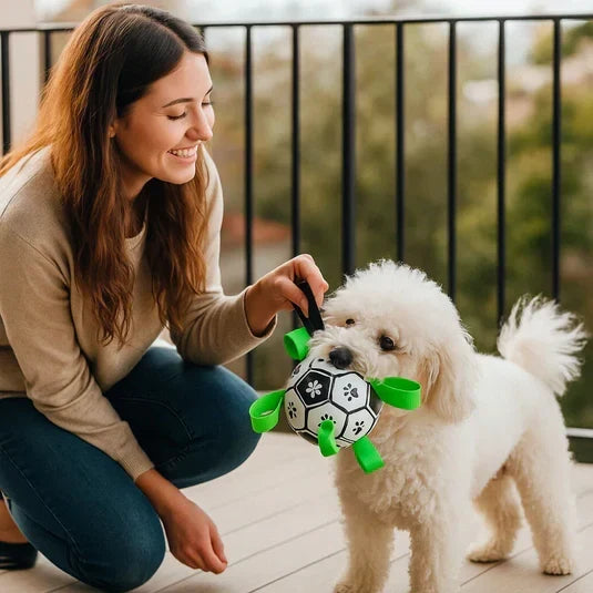PawGrip テクスチャードラバー製犬用おもちゃボール - 引っ張り遊び用ハンドル