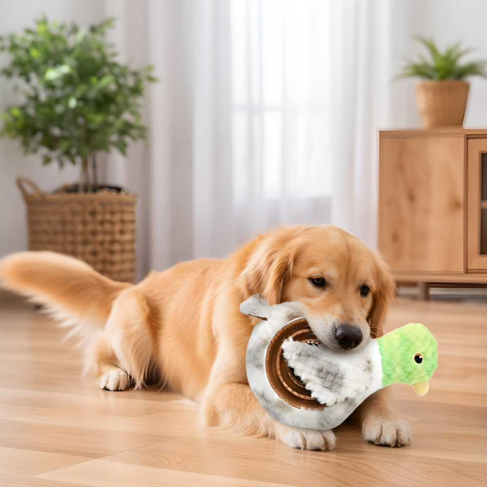 PawLoop Interactive Treat-Dispensing Chew Ring Toy